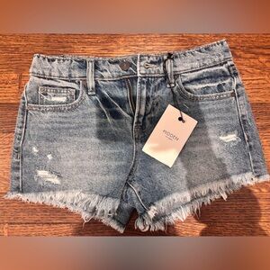 Hidden Women's Blue Jean Shorts